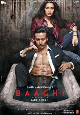 Baaghi: Asi ve Aşık poster