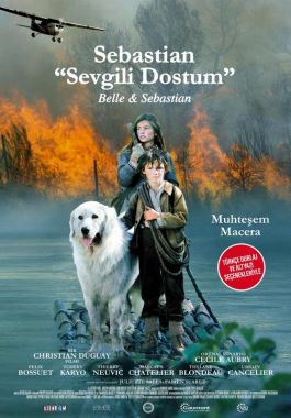 Sebastian Sevgili Dostum poster
