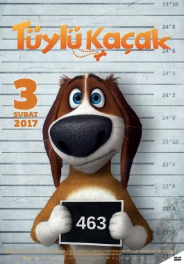 Tüylü Kaçak poster