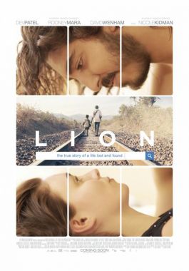 Lion poster