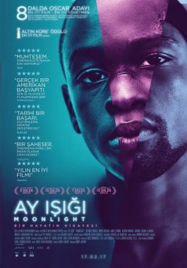 Ay Işığı poster