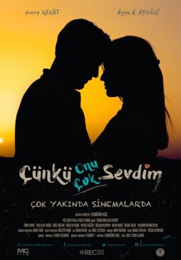 Çünkü Onu Çok Sevdim poster