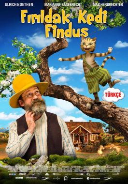 Fırıldak Kedi poster