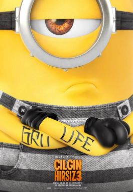 Çılgın Hırsız 3 poster