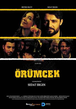 Örümcek poster