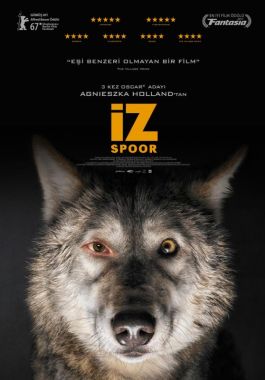 İz poster