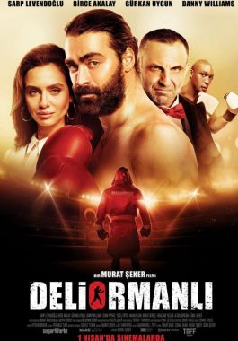 Deliormanlı poster