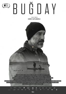 Buğday poster