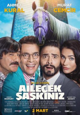 Ailecek Şaşkınız poster