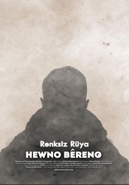 Renksiz Rüya poster