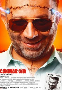 Canavar Gibi Frankenstein poster