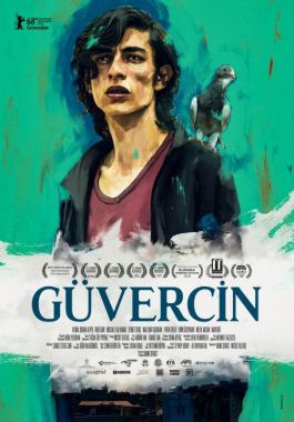 Güvercin poster