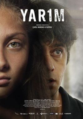 Yarım poster