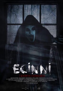 Ecinni poster