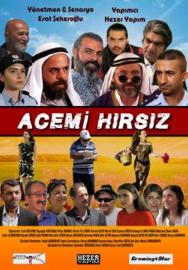 Acemi Hırsız poster