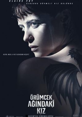 Örümcek Ağındaki Kız poster