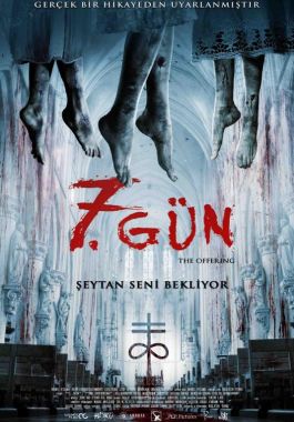 7. Gün poster