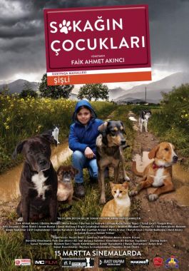 Sokağın Çocukları poster