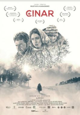 Çınar poster