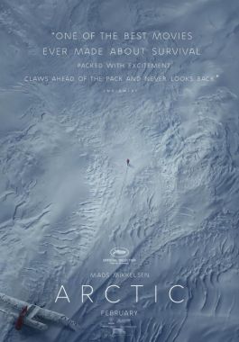 Arctic poster