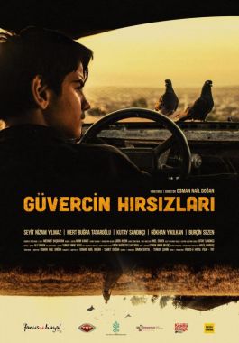 Güvercin Hırsızları poster