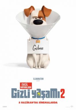 Evcil Hayvanların Gizli Yaşamı 2 poster