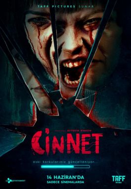 Cinnet poster