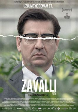 Zavallı poster