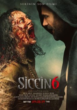 Siccin 6 poster