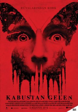 Kabustan Gelen poster