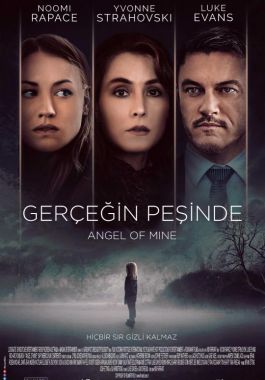 Gerçeğin Peşinde poster