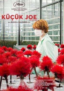 Küçük Joe poster