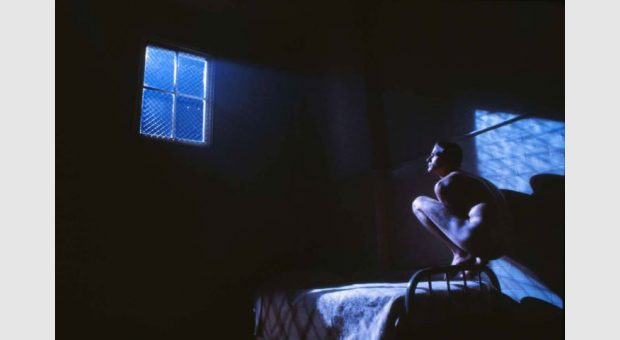 Pan Sinema Geceleri-Birdy/Alan Parker Filmi