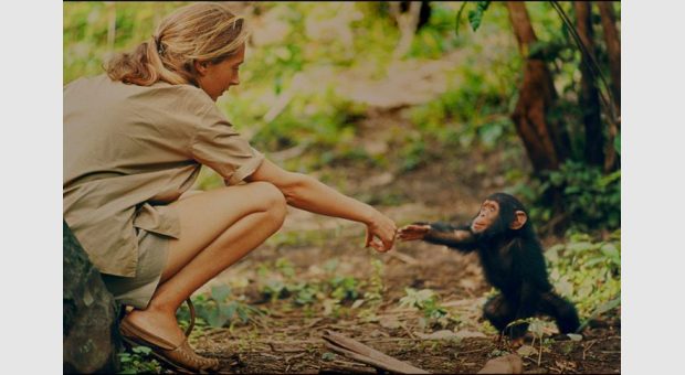 Dans Eden Kızlar - Jane film gösterimleri