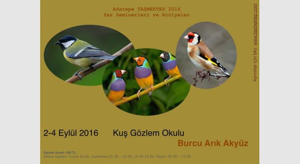 Kuş Gözlem Okulu / Burcu Arık Akyüz