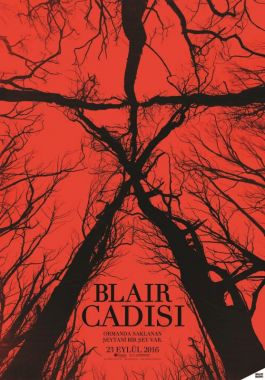 Blair Cadısı poster